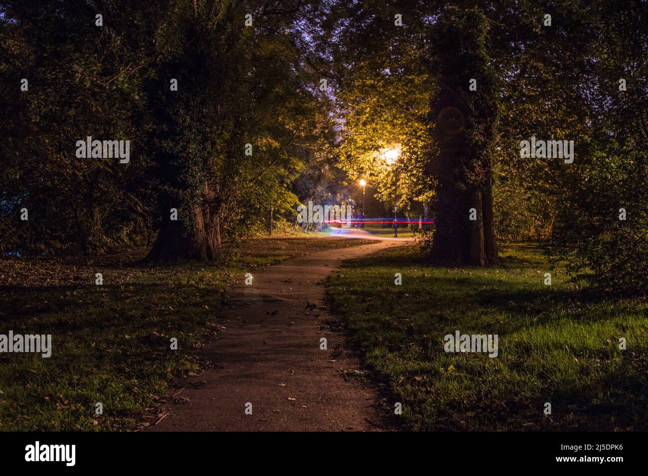 Un sentiero alberato di notte con percorsi a semafori distanti. Foto Stock