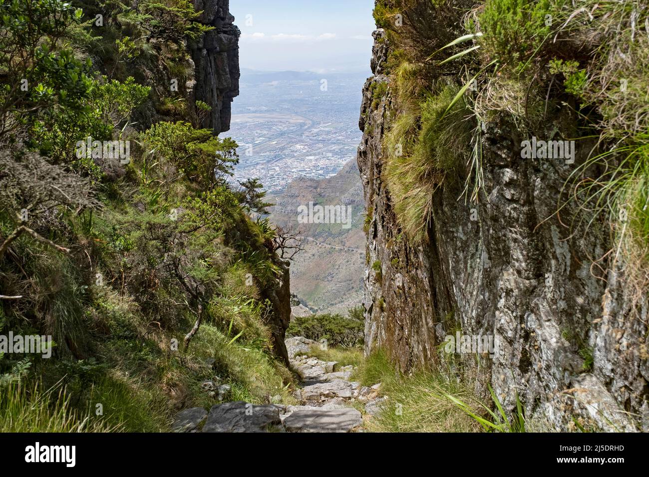 Ripido sentiero / sentiero che conduce al piano Table Mountain e vista su Città del Capo / Kaapstad, Western Cape Province, Sud Africa Foto Stock