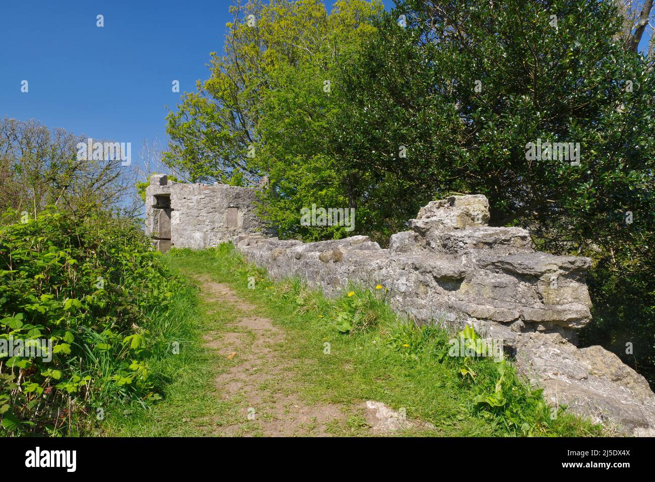 Il castello di Aberlleiniog, Anglesey, Galles del Nord, Foto Stock