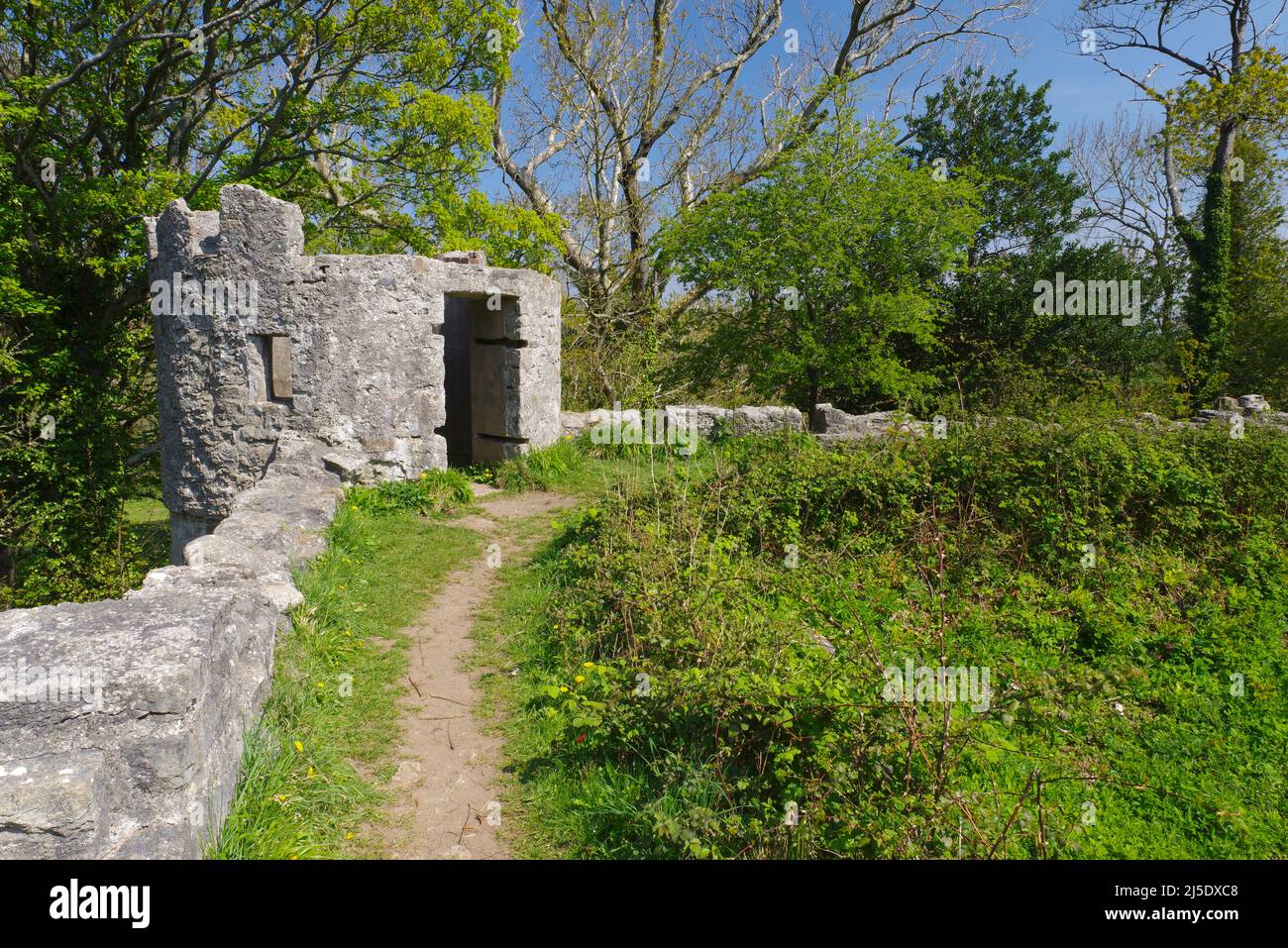 Il castello di Aberlleiniog, Anglesey, Galles del Nord, Foto Stock