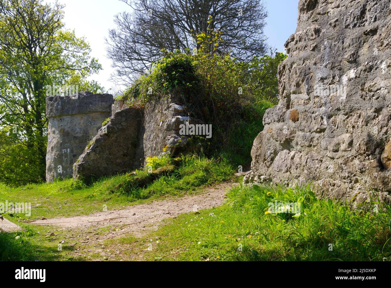 Il castello di Aberlleiniog, Anglesey, Galles del Nord, Foto Stock