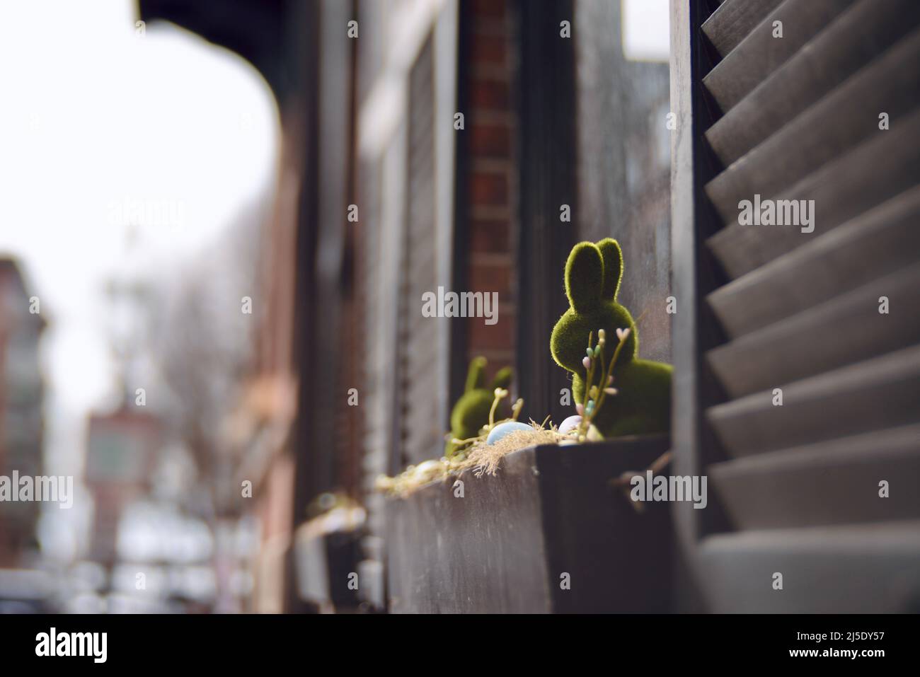Windowsill con muschio verde coniglietto di Pasqua nel quartiere Beacon Hill, nel centro di Boston, Massachusetts Foto Stock Windowsill con muschio verde coniglietto di Pasqua nel quartiere Beacon Hill, nel centro di Boston, Massachusetts Foto Stock