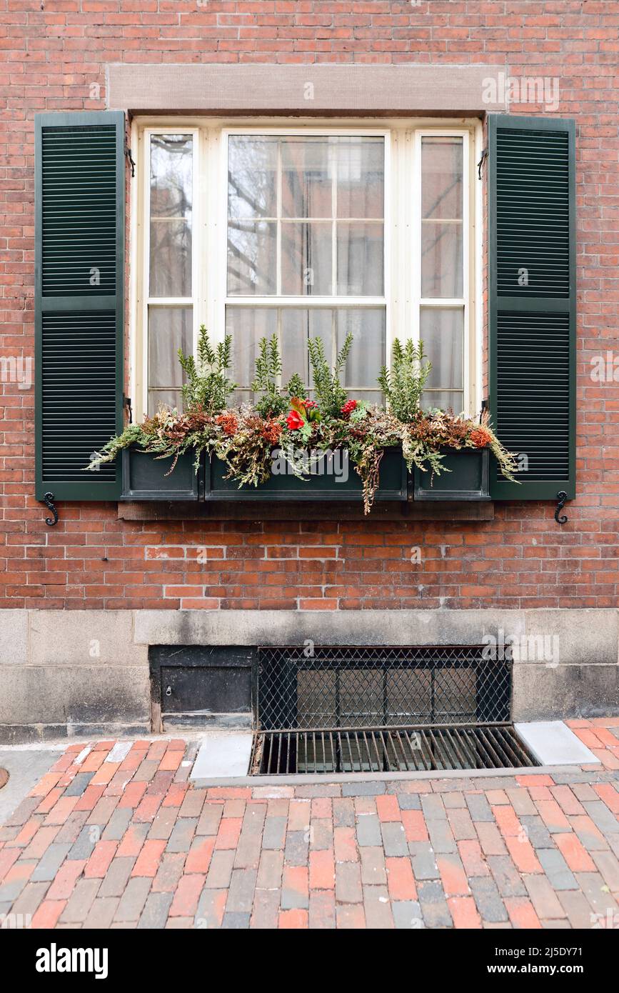 Primo piano di una finestra di fiori fuori di una casa su un marciapiede in mattoni a Boston, Massachusetts, Stati Uniti Foto Stock Primo piano di una finestra di fiori fuori di una casa su un marciapiede in mattoni a Boston, Massachusetts, Stati Uniti Foto Stock