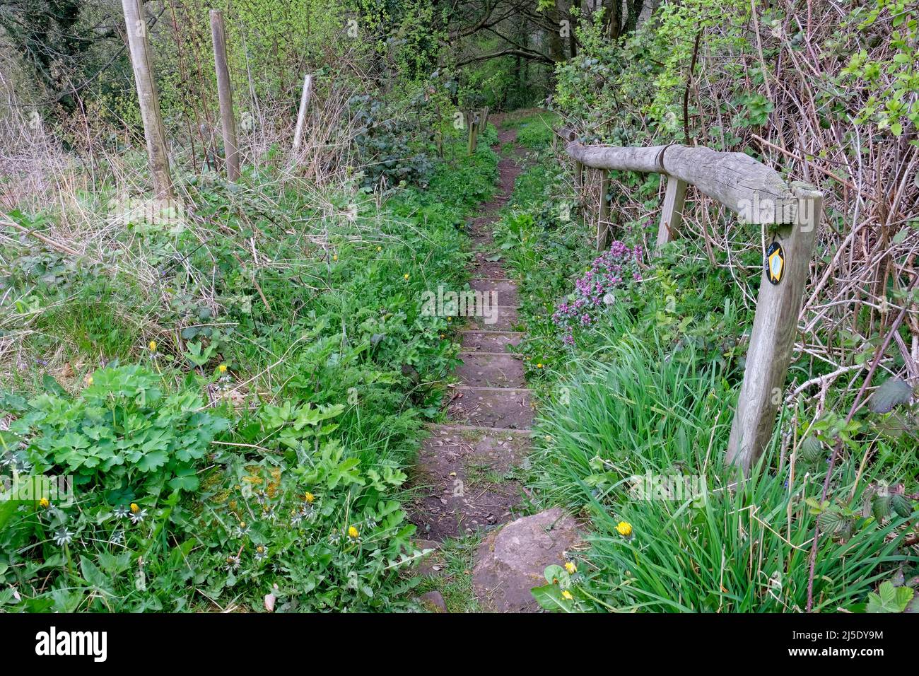 Froghall Walk Staffordshire Foto Stock