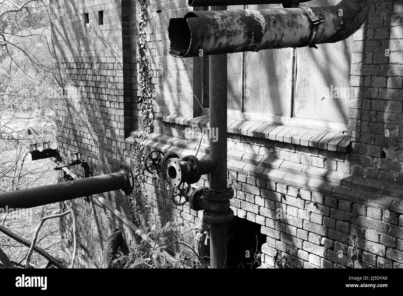 Cauldon Canal derelict fabbrica Froghall Wharf Foto Stock