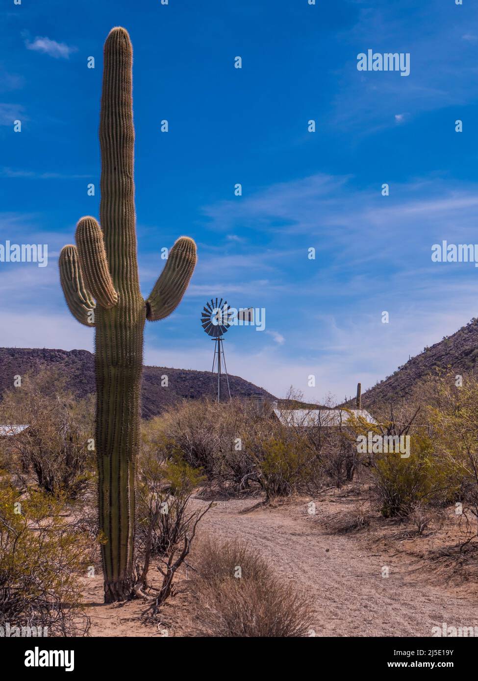 Bates Well Ranch, South Windmill, Bates Well Road, Organ Pipe Cactus National Monument, Arizona. Foto Stock