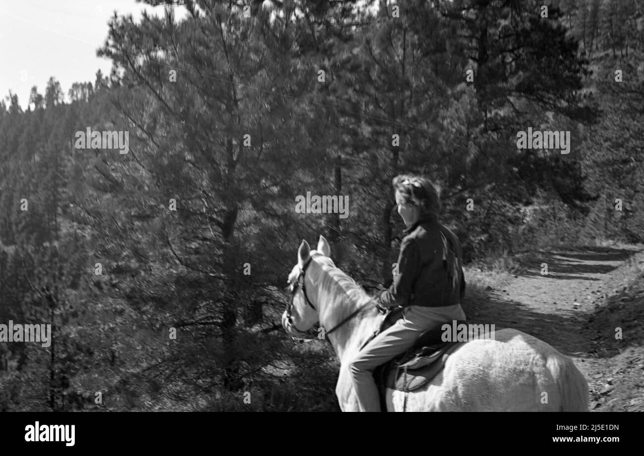 Attraente donna a cavallo bianco in Colorado, circa 1940s Foto Stock