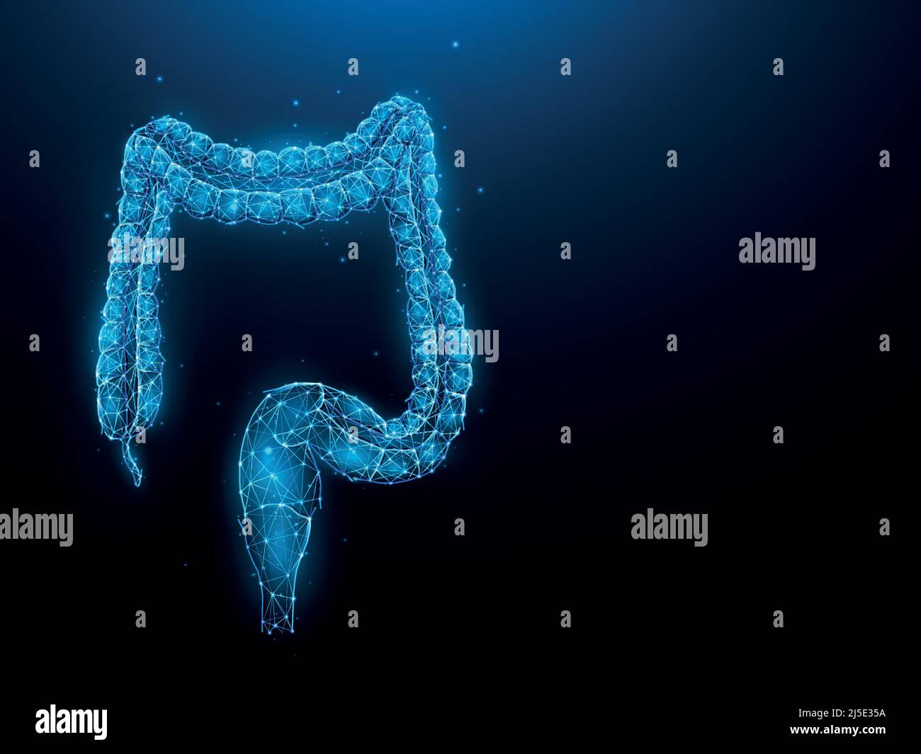 Astrazione rappresentazione vettoriale poligonale del colon o dell'intestino crasso su sfondo blu scuro. Apparato digerente, struttura interna a basso contenuto di poli. Illustrazione Vettoriale