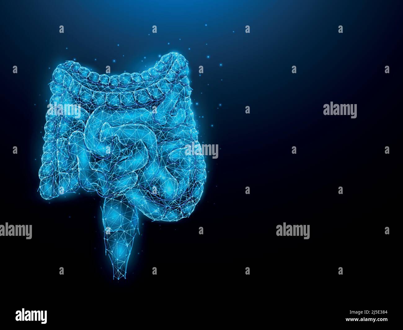 Astrazione rappresentazione vettoriale poligonale dell'intestino su sfondo blu scuro. Apparato digerente, struttura interna a basso contenuto di poli. Sanne medica Illustrazione Vettoriale
