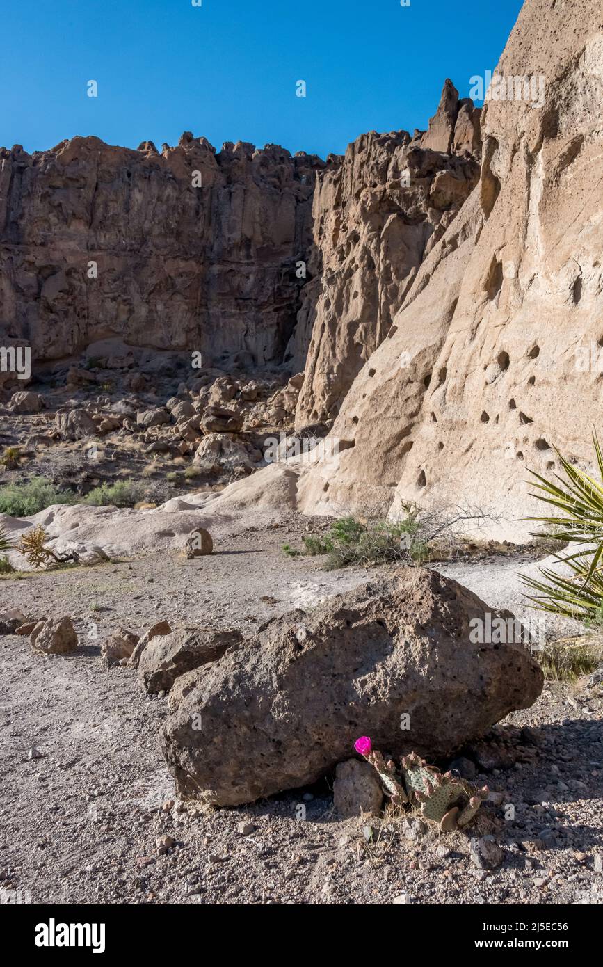 Vista dei fori nel Muro che si avvicinano al Canyon di Banshee nella Riserva Nazionale di Mojave sul Ring Loop Trail. Foto Stock