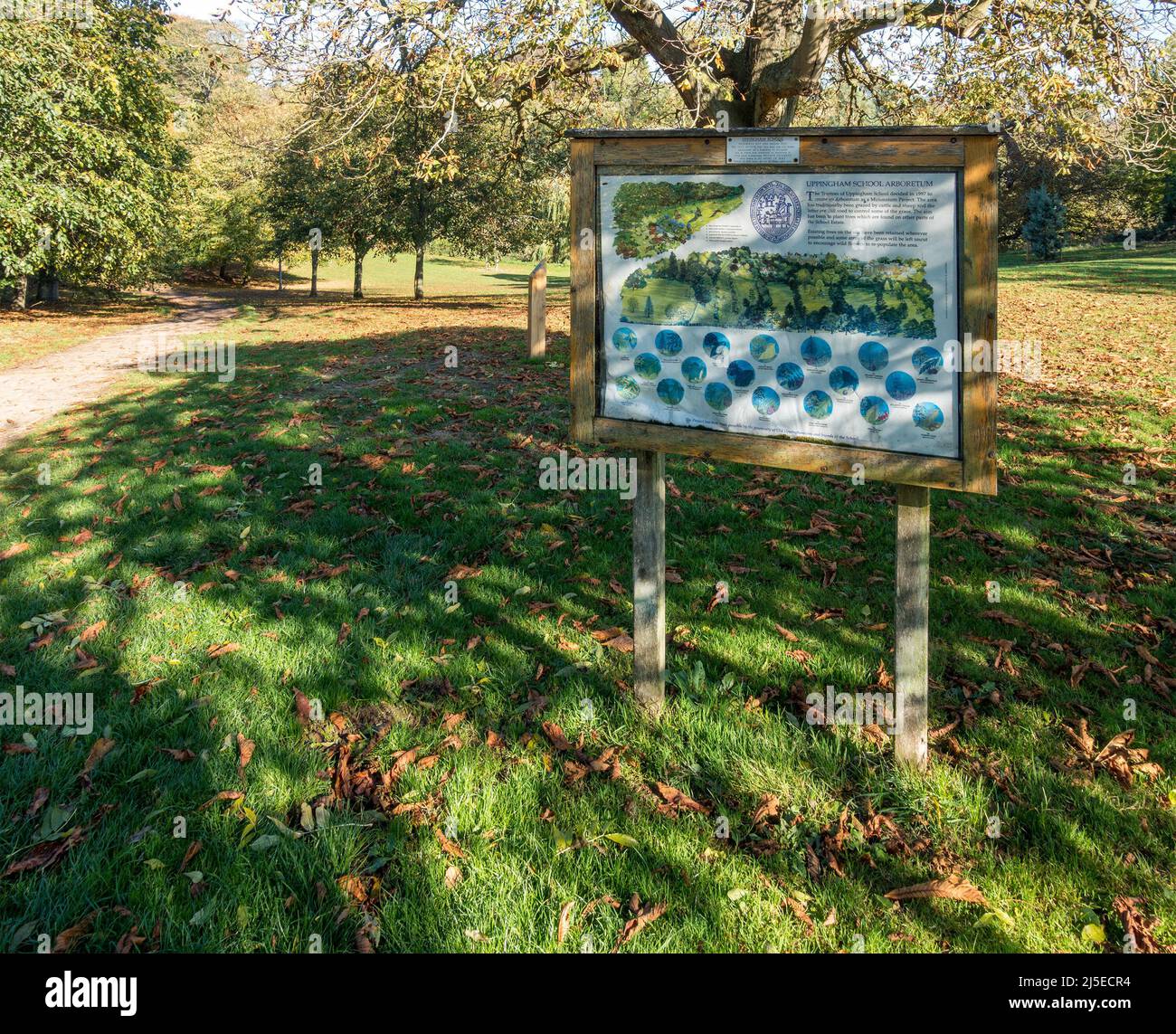 Uppingham School Arboretum e cartello informativo, Rutland, Inghilterra, Regno Unito Foto Stock