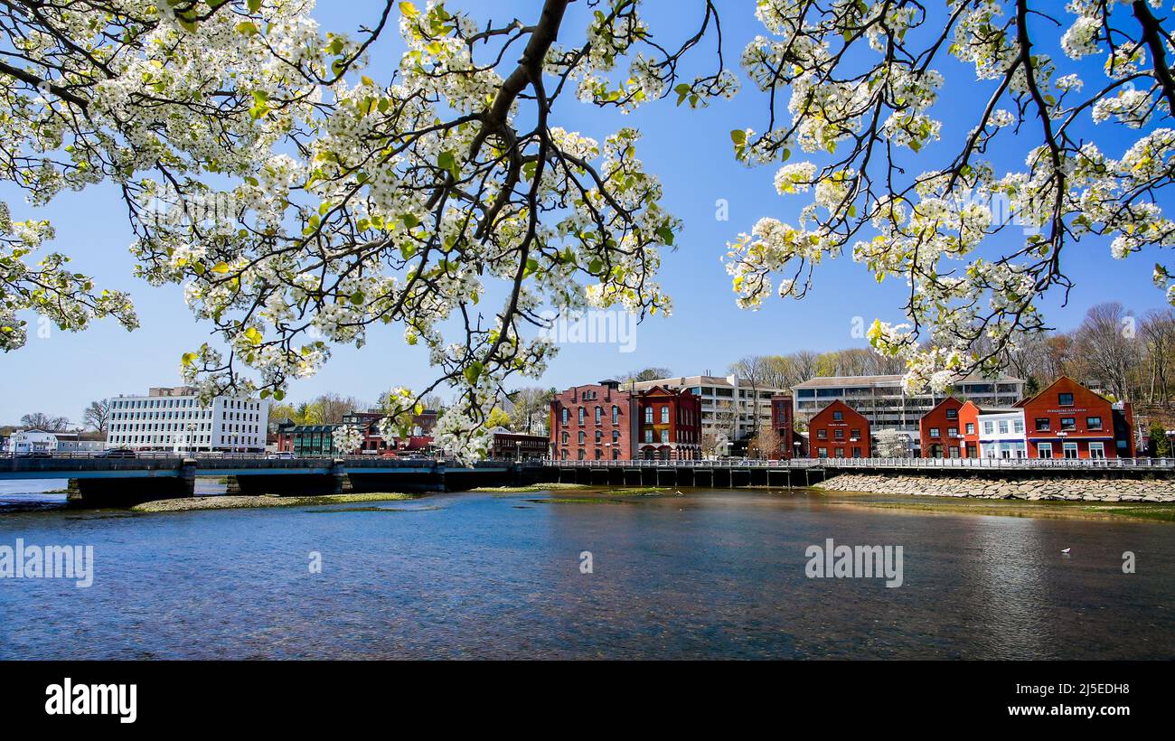 WESTPORT, CT, USA - 22 APRILE 2022: Vista dal ponte Westport sul fiume Saugatuck e l'architettura vicino al centro in splendida primavera Foto Stock