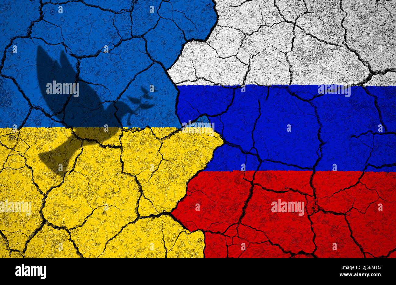 Ombra di colomba con ramo di ulivo che rappresenta la pace sulla bandiera Ucraina dipinta su muro spaccato verso la bandiera russa. Abbiamo bisogno di pace e non di guerra. Foto Stock