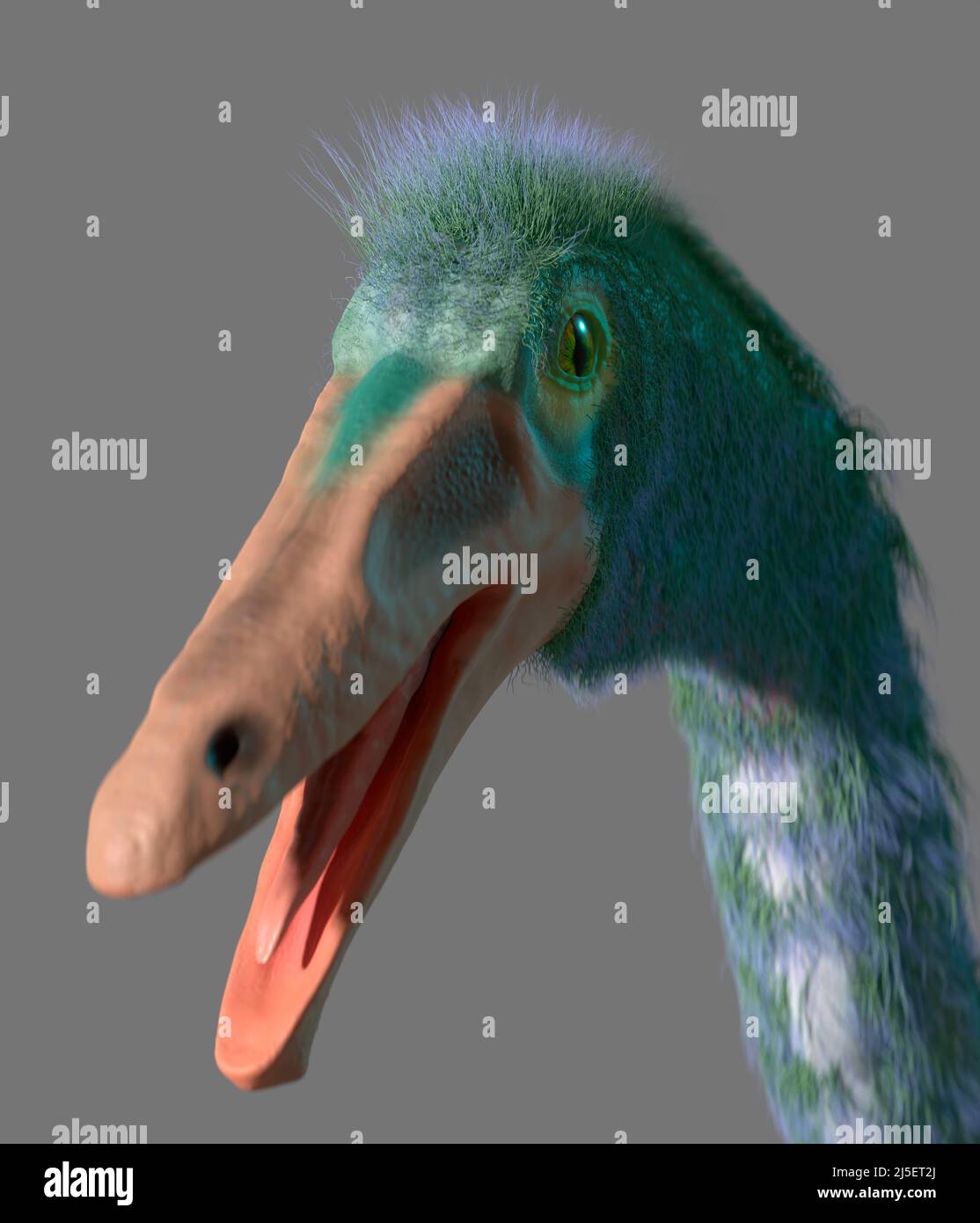 Opera del dinosauro Gallimus Foto Stock