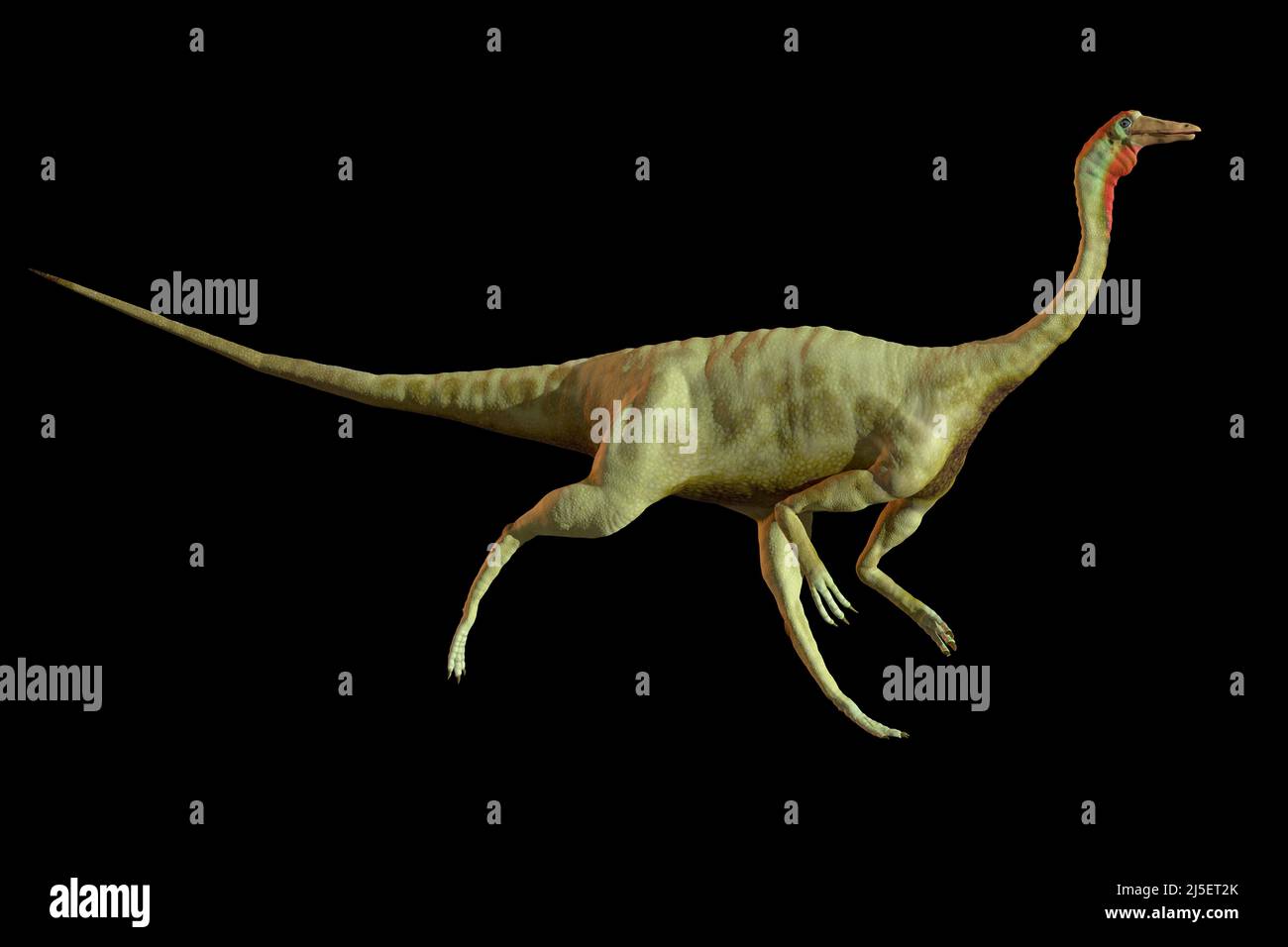 Opera del dinosauro Gallimus Foto Stock