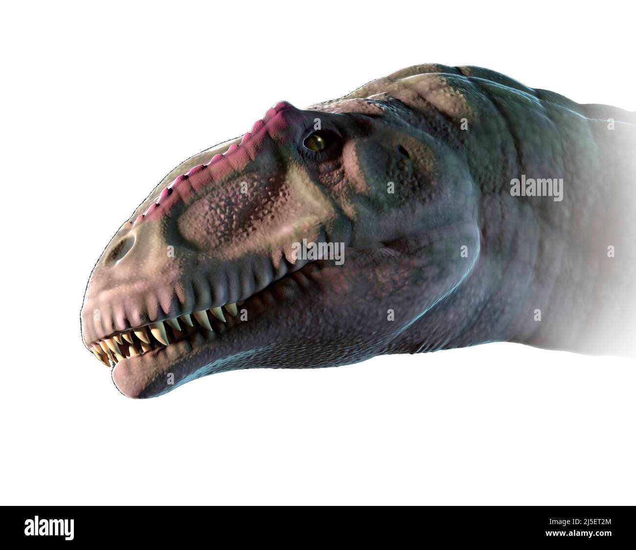 Opera di Giganotosaurus Foto Stock