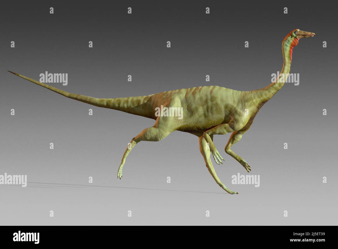 Opera del dinosauro Gallimus Foto Stock