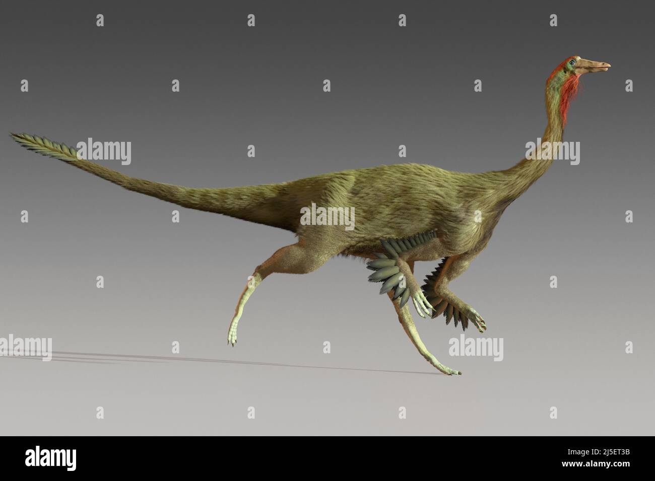 Opera del dinosauro Gallimus Foto Stock