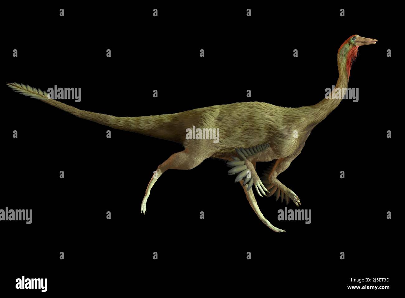 Opera del dinosauro Gallimus Foto Stock