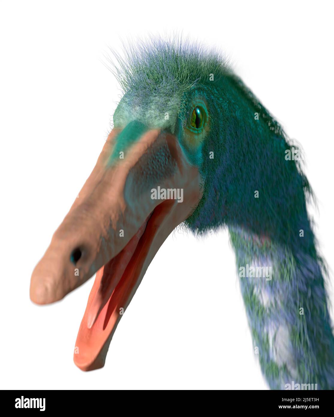 Opera del dinosauro Gallimus Foto Stock