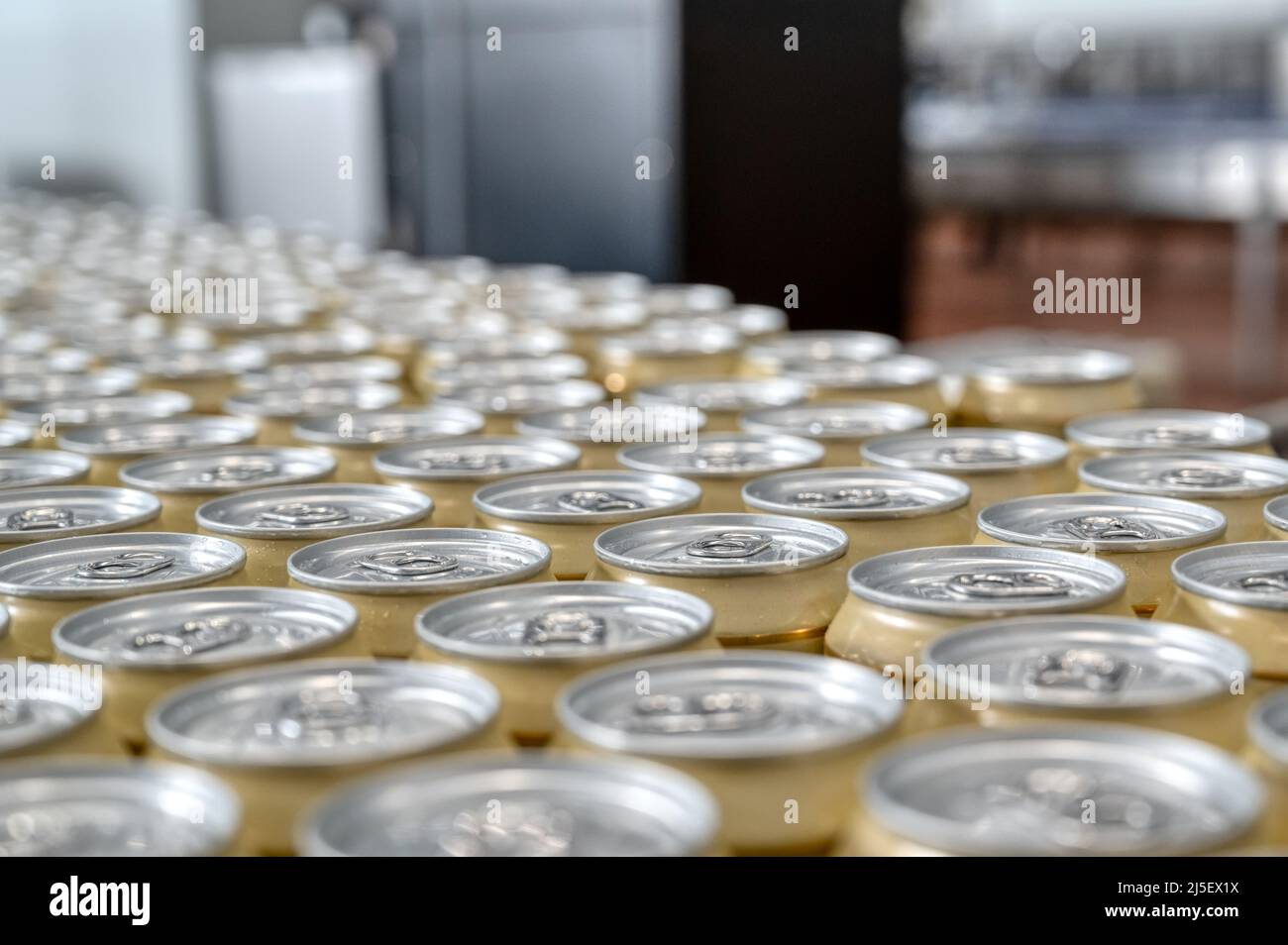 lattine di birra sul trasportatore. Foto Stock