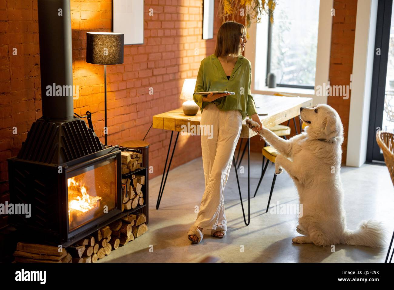 La donna lavora sul tablet digitale e si prende cura del suo cane a casa Foto Stock