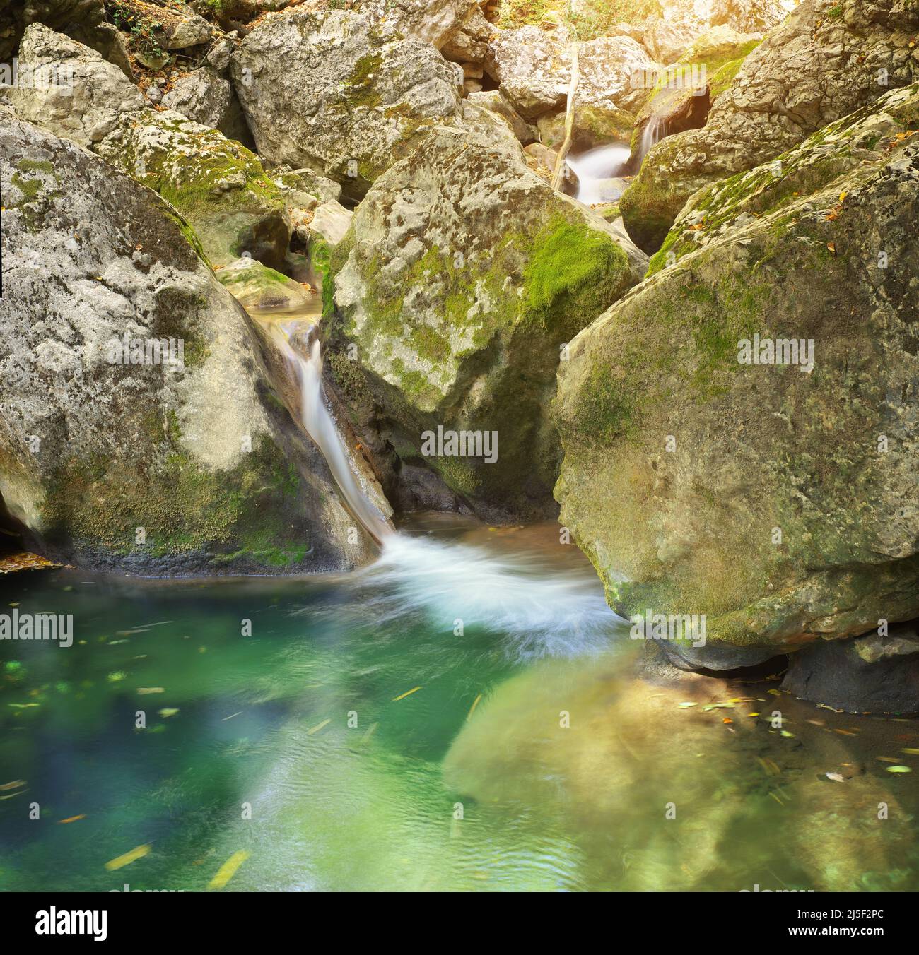 Cascata chiara di fiume in canyon foresta e pietre grandi. Scena della natura. Foto Stock