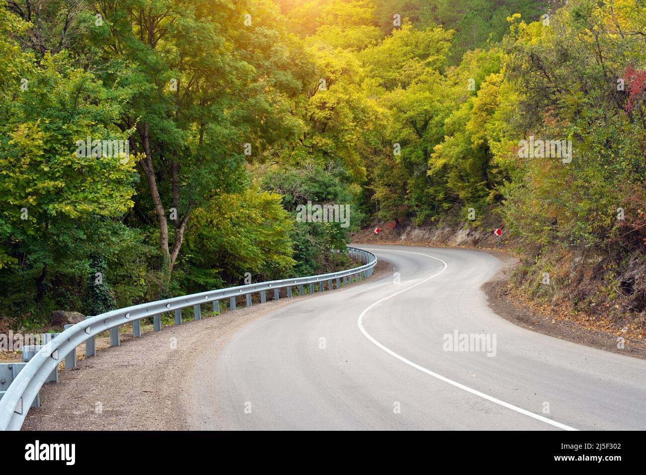 Strada forestale e raggi di sole. Bellissimo paesaggio naturale. Foto Stock