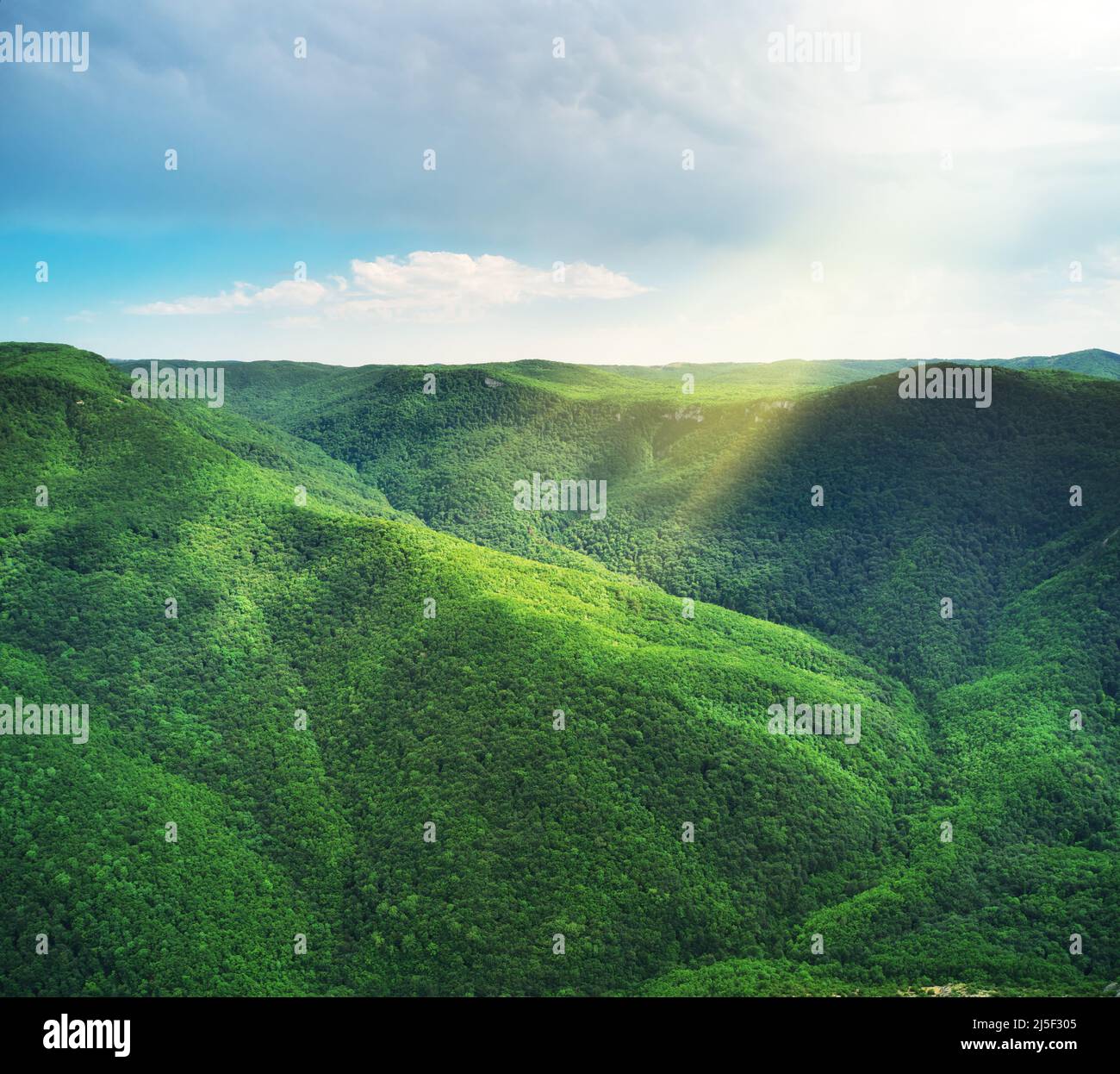 Verdi colline di foreste di montagna. Composizione della natura. Foto Stock