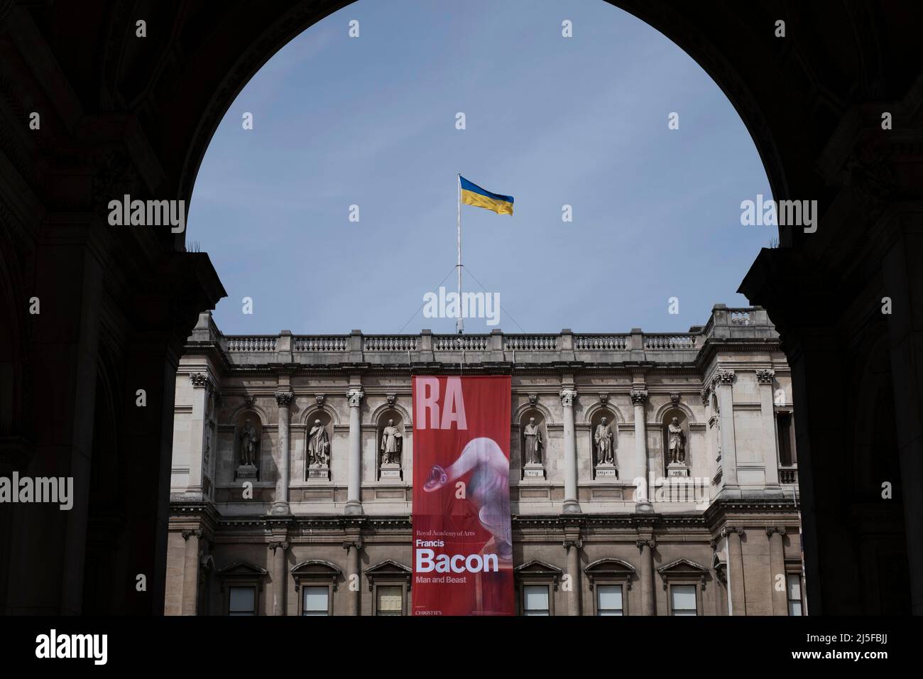 La bandiera Ucraina vola sopra la segnaletica per la mostra Francis Bacon Man and Beast alla Royal Academy il 10th aprile 2022 a Londra, Regno Unito. La Royal Academy of Arts è un'istituzione d'arte con sede a Burlington House a Piccadilly. Fondata nel 1768, ha una posizione unica come istituzione indipendente, finanziata privatamente, guidata da artisti e architetti eminenti. Foto Stock