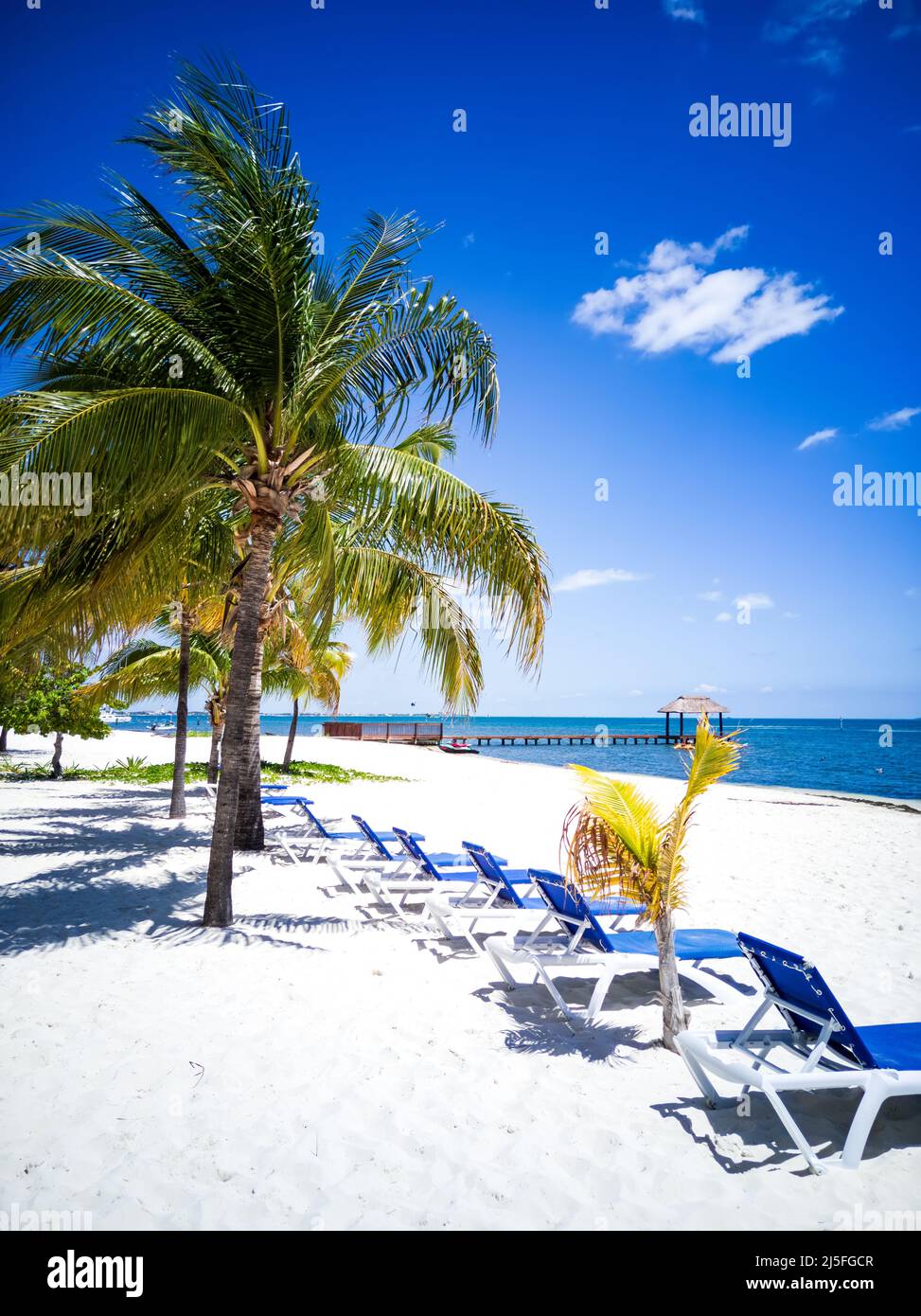 Paesaggio tropicale con palme da cocco sulla spiaggia dei caraibi, Cancun, Penisola dello Yucatan in Messico. Foto Stock
