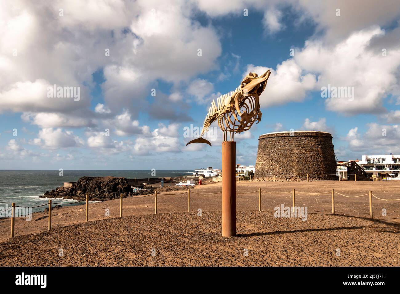 El Cotillo, Castillo del Toston, Wehrturm, Fortaleza del Toston, Skelett eines Schnabelwals, Ziphidae, Fuerteventura, Kanarische Inseln, Spanien, Euro Foto Stock