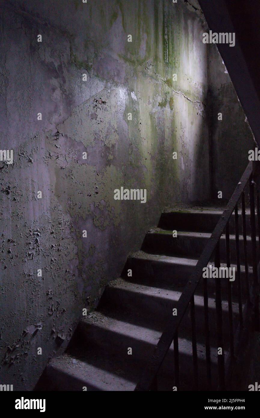 L'interno di appartamenti distrutti nella città deserta di Pripyat nella zona di esclusione dopo il disastro di Chernobyl. Foto Stock