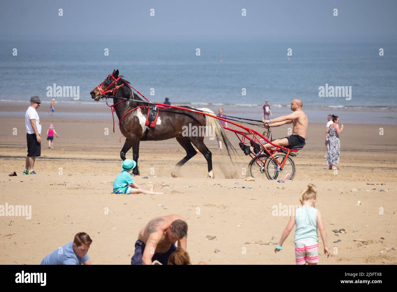 Uomo con cavallo e trappola sulla spiaggia di Seaton Carew, Inghilterra nord-orientale. Regno Unito. REGNO UNITO Foto Stock
