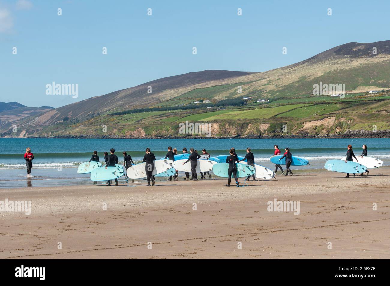 Inch Beach, County Kerry, Irlanda. 23rd Apr 2022. Il sole shone su Inch Beach, County Kerry oggi. Nonostante il sole e le temperature calde, la spiaggia era relativamente tranquilla, ma sempre più affollata. Le lezioni della Kingdom Waves Surf School erano molto popolari. Credit: AG News/Alamy Live News Foto Stock