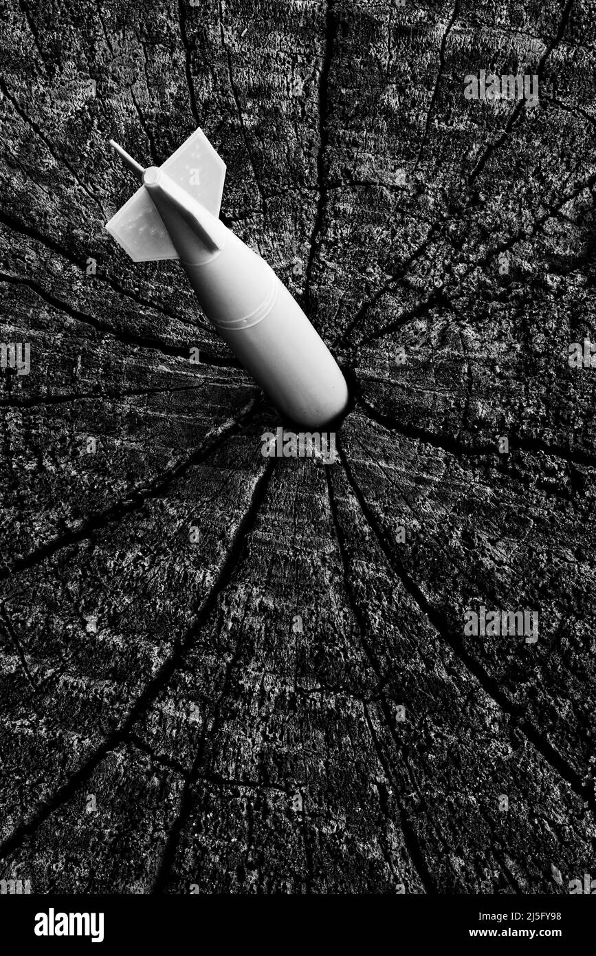 Missile balistico piantato nel tronco di un albero tagliato Foto Stock