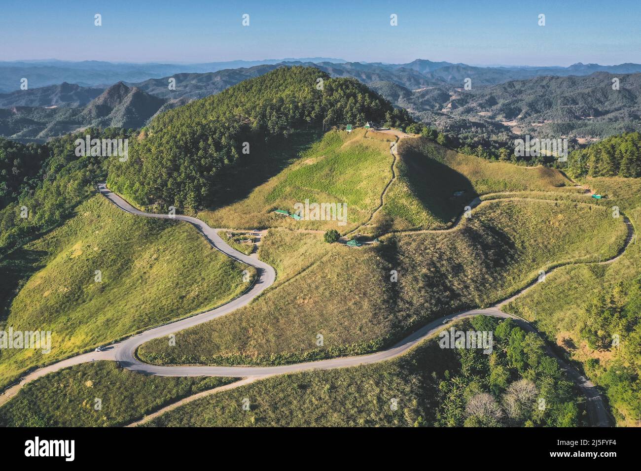 Veduta aerea dei campi di Thung Bua Tong a Mae Hong Son, Thailandia Foto Stock