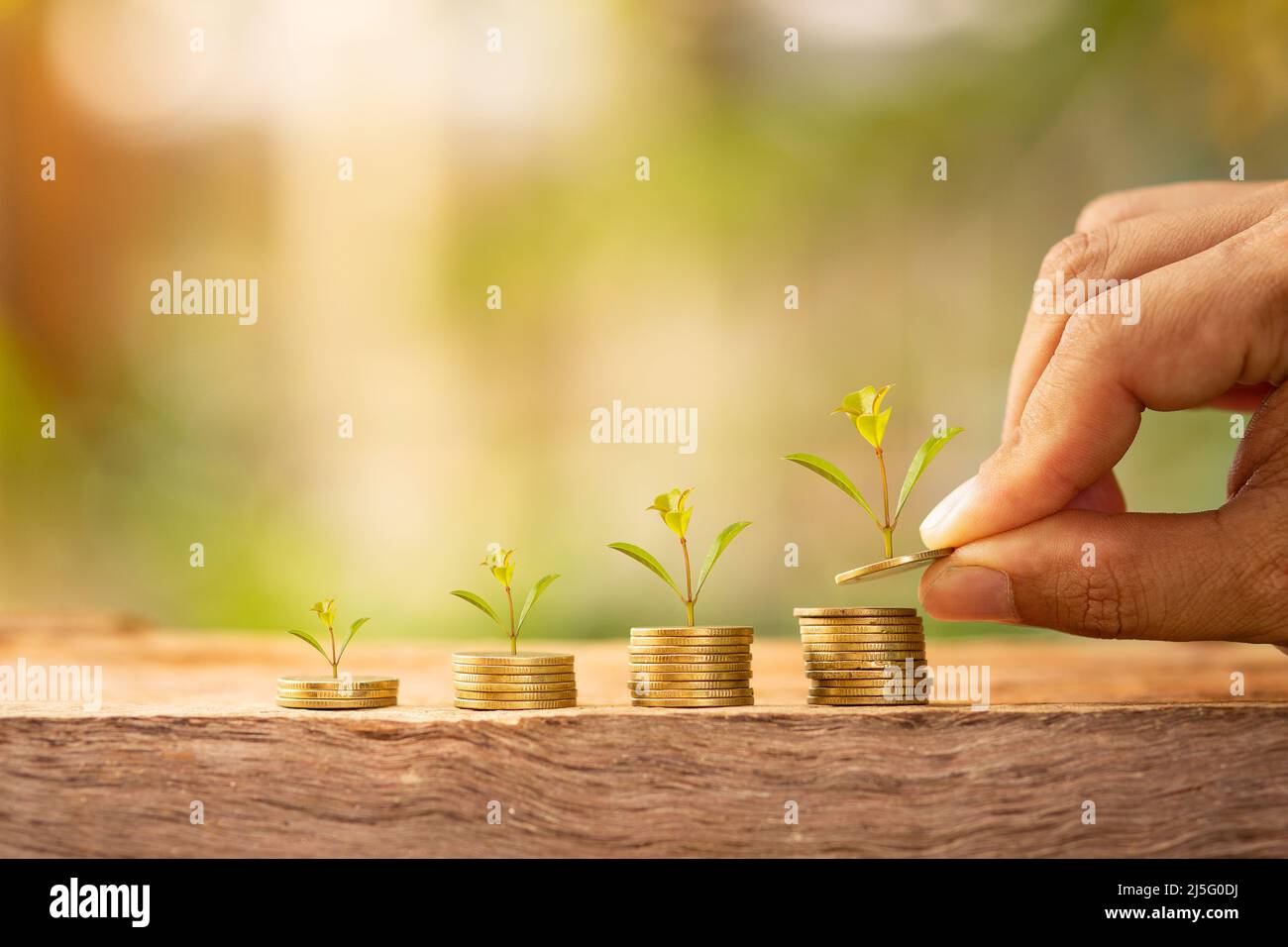 Mano che tiene una moneta con un albero sul tavolo, concetto di investimento, il denaro cresce. Foto Stock