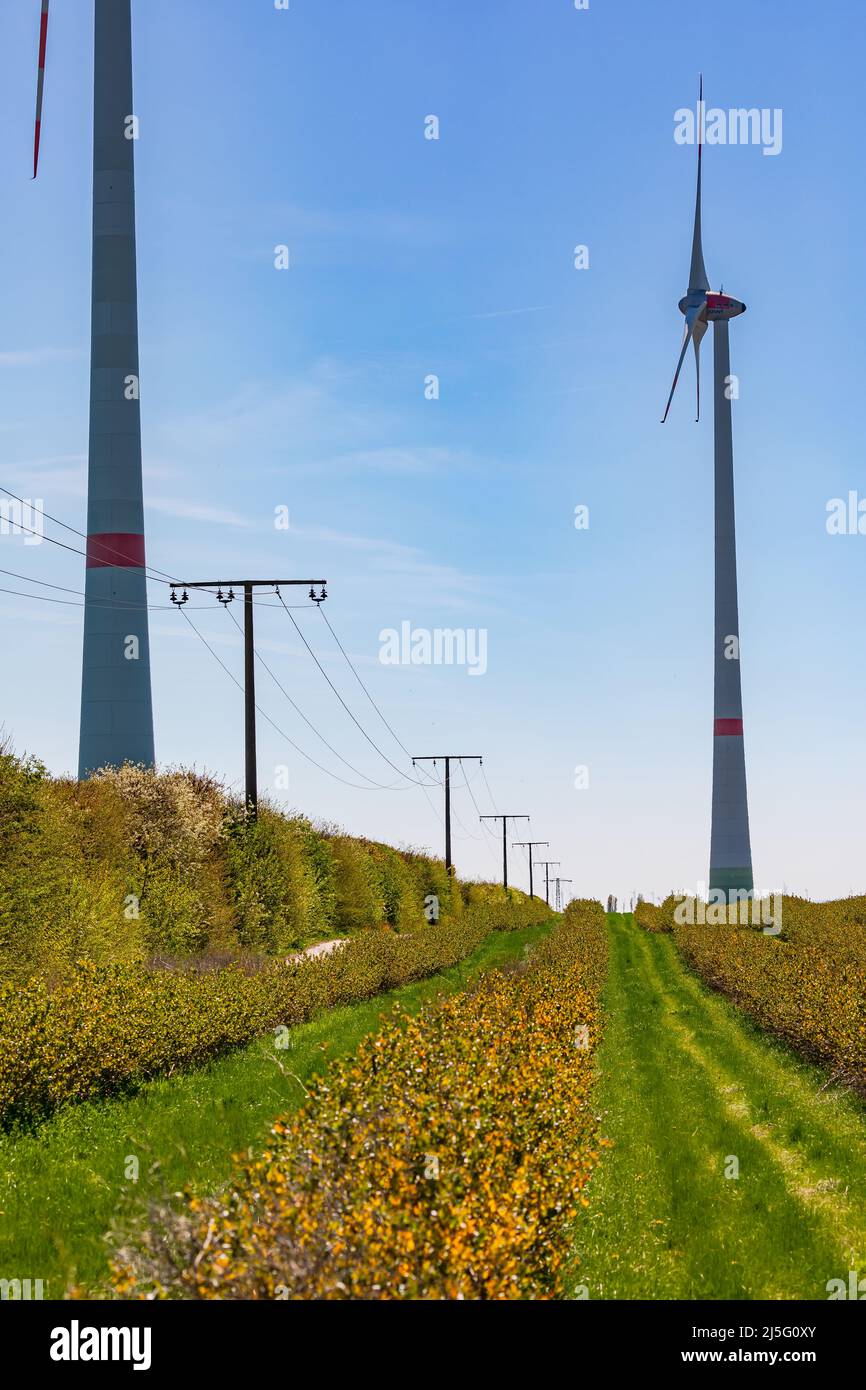 Un campo fiancheggiato da piloni elettrici e enormi turbine eoliche per l'energia sostenibile in Germania Foto Stock
