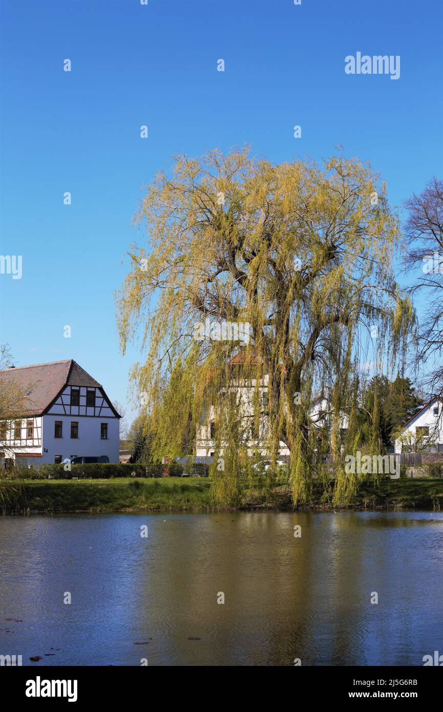 Lago pubblico Leipzig Holzhausen in Germania Foto Stock