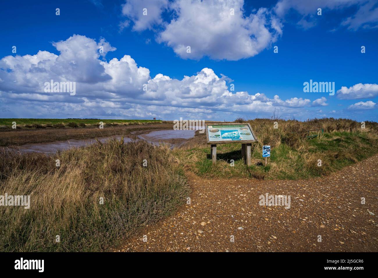 Riserva naturale nazionale di Holme Dunes, Holme-next-the-Sea, Thornham, Norfolk, Regno Unito Foto Stock