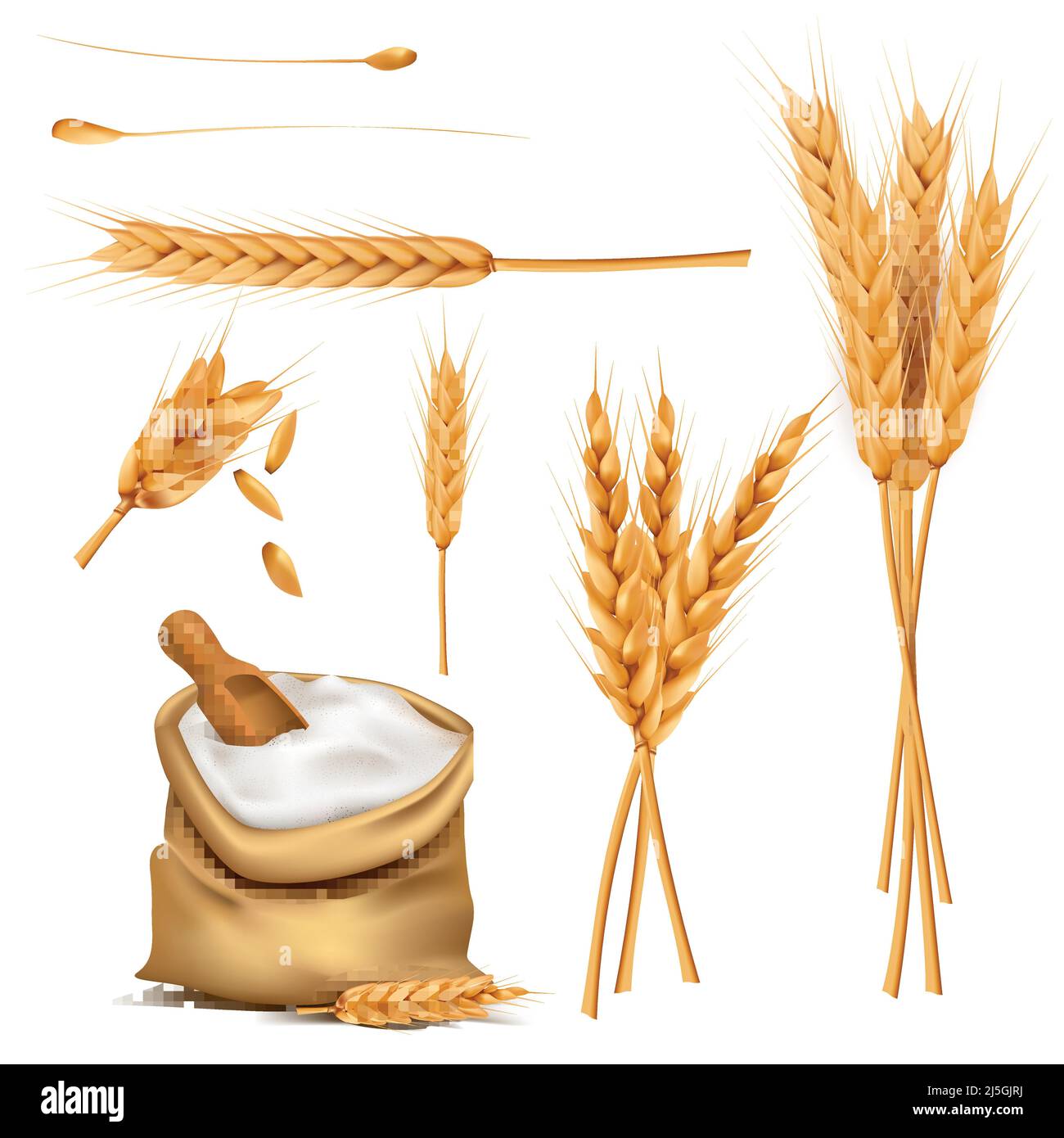 Mazzo di spighe di grano, grani secchi, farina in sacco di burlap con pala di legno realistico vettore illustrazione set isolato su sfondo bianco. Cereali har Illustrazione Vettoriale