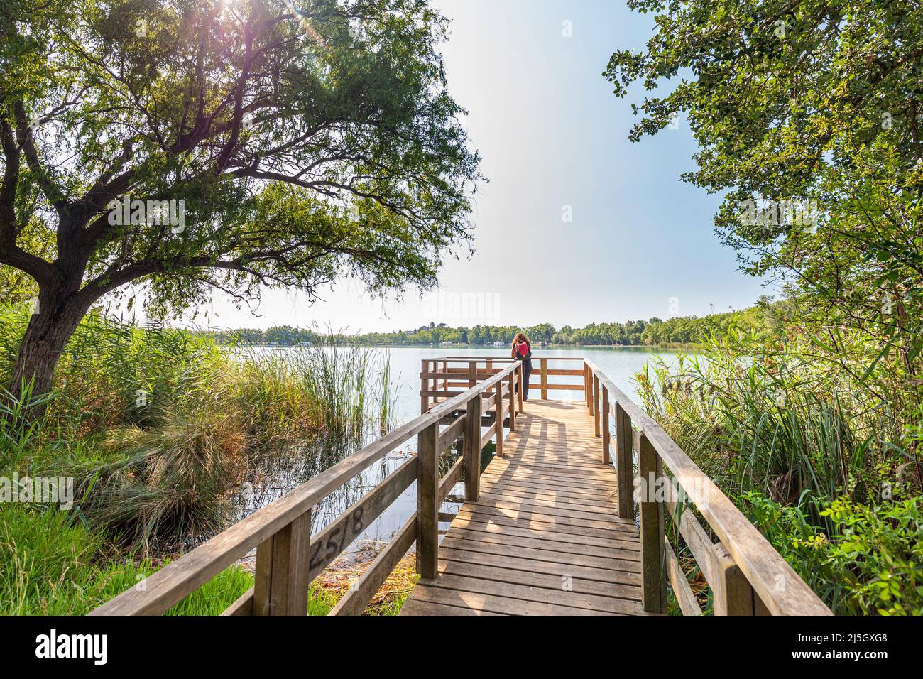 Lago Banyoles, Banyoles, Pla de l'Estany, Girona, Spagna Foto Stock