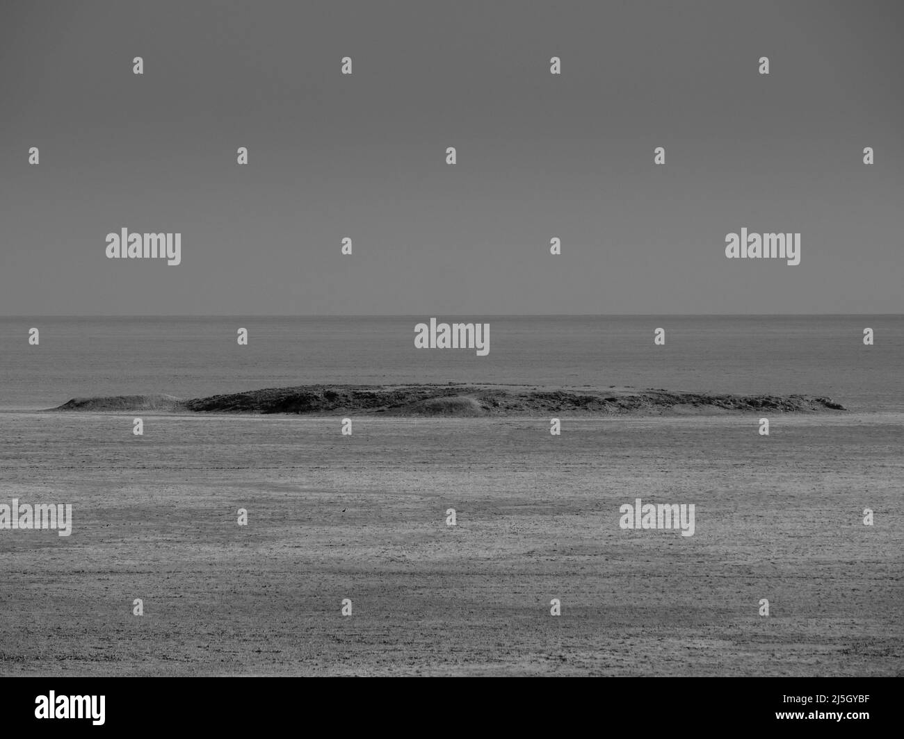Etosha Salt Pan, una pianura arida vuota e solitaria in Namibia, Africa in bianco e nero monocromatico Foto Stock