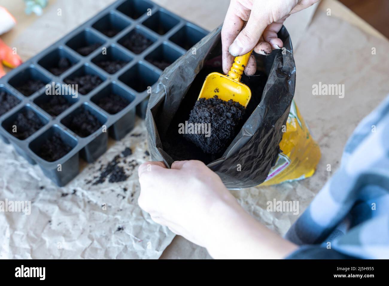 il processo di riempire pentole per piantine con terra Foto Stock