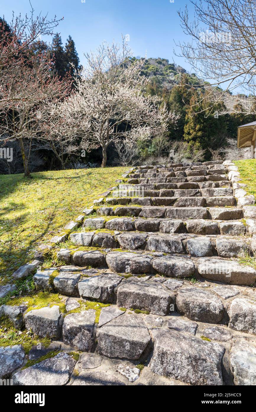 Vecchi gradini in pietra nel Parco Kido, Yamaguchi, Giappone Foto Stock