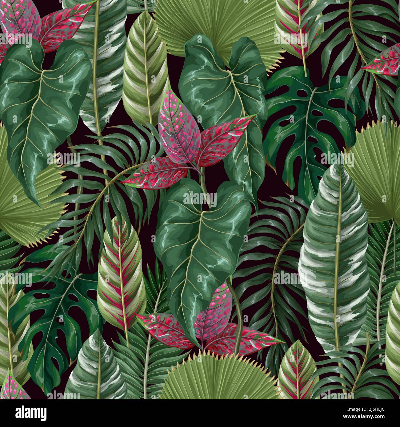 Modello senza giunture con foglie tropicali come foglia di palma, monstera e altro.vettore. Illustrazione Vettoriale