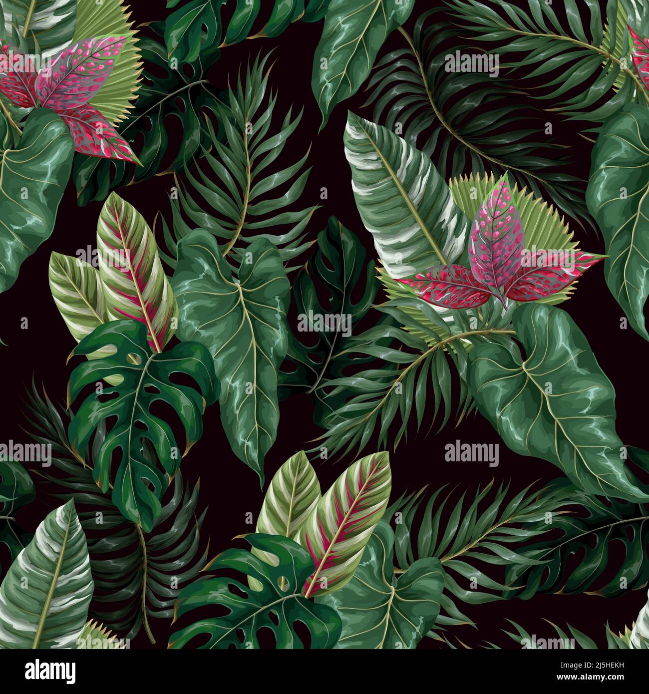 Modello senza giunture con foglie tropicali come foglia di palma, monstera e altro.vettore. Illustrazione Vettoriale