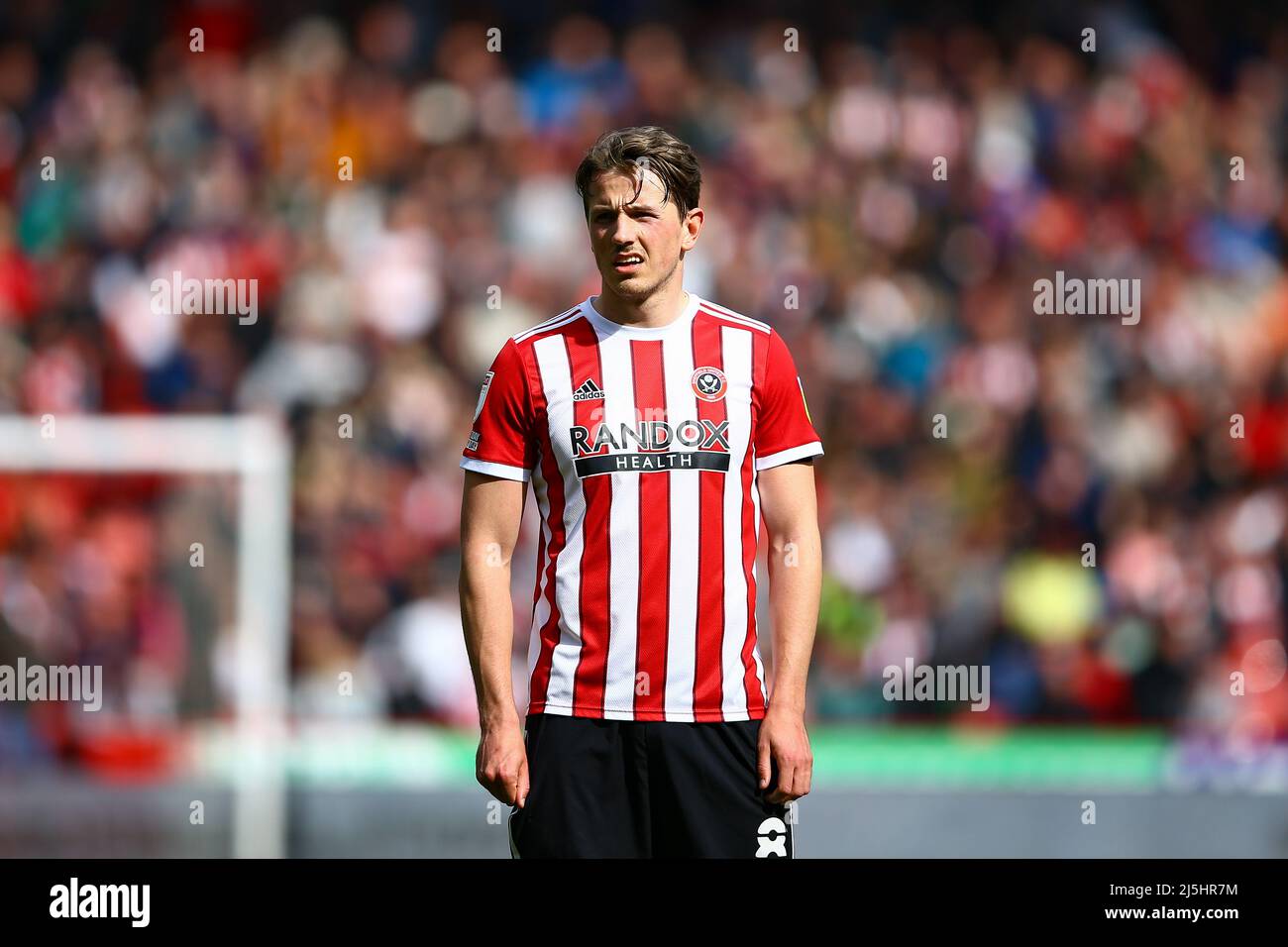 Bramall Lane, Sheffield, Inghilterra - 23 aprile 2022 Sander Berge (8) di Sheffield United - durante la partita Sheffield United contro Cardiff City, Sky Bet Championship 2021/22, Bramall Lane, Sheffield, Inghilterra - 23 aprile 2022 Credit: Arthur Haigh/WhiteRosePhotos/Alamy Live News Foto Stock