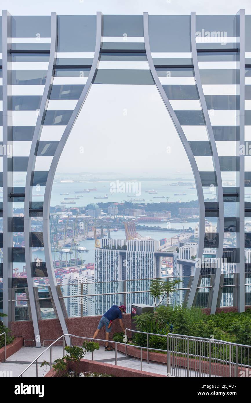 Vista verticale di un giardiniere in un cappello a secchiello, che lavora nel giardinaggio del CapitaSpring Sky Garden, in cima a un grattacielo con un panorama mozzafiato. Singapore. Foto Stock